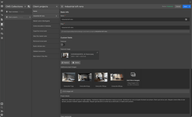 Webflow CMS