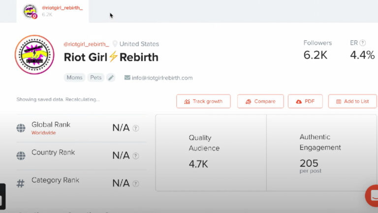HypeAuditor - Influencer Status