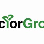 VectorGrove - Logo