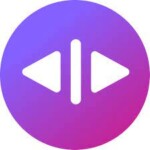 Dubverse Logo