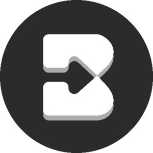 brisk logo
