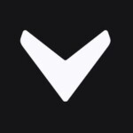 vizcom logo
