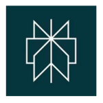 perplexity-ai-logo