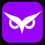 owlity-ai-logo